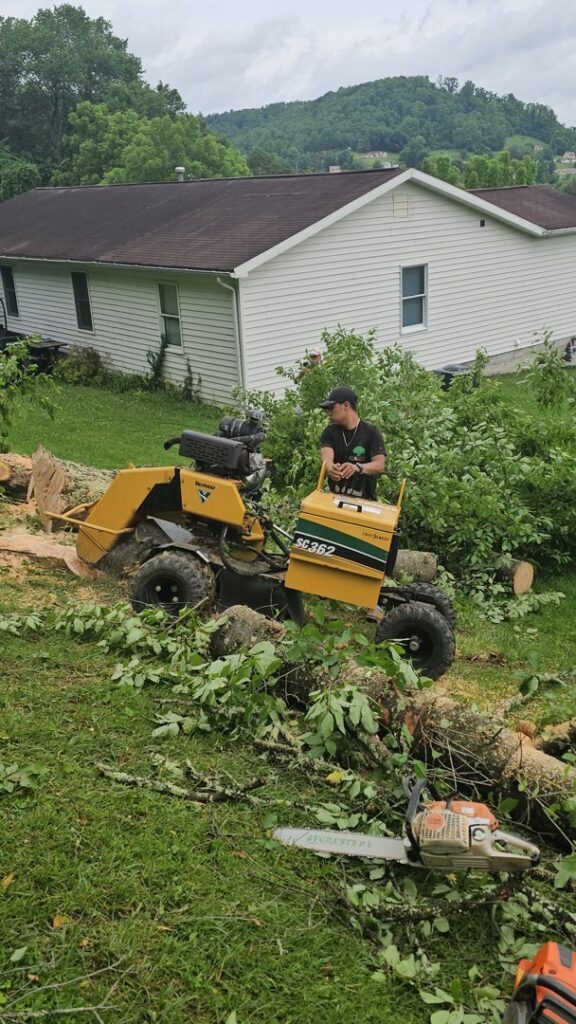 A worker operating a stump grinder to remove a tree stump for Juarez Tree Service in Bawcomville, LA.