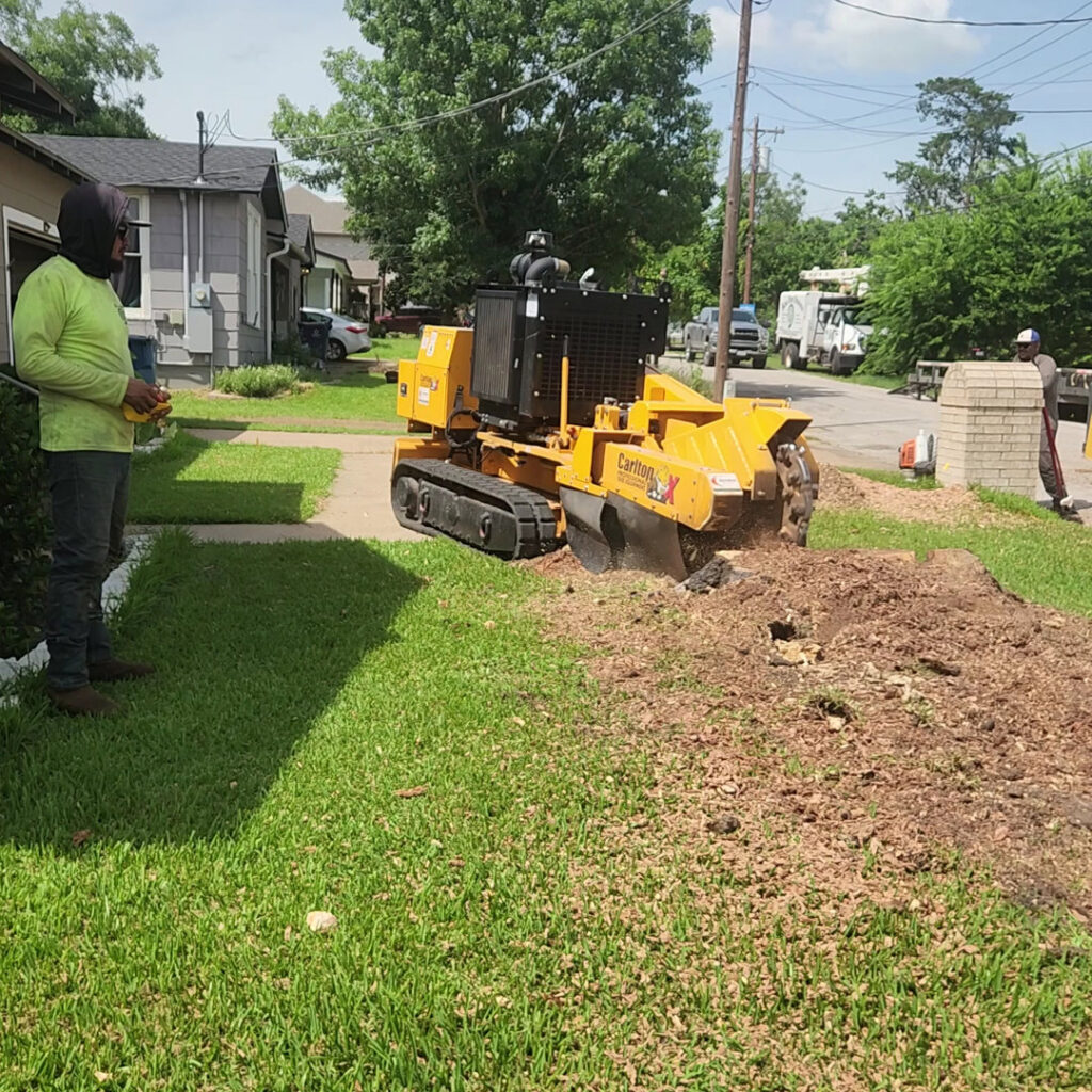 A KIRI TREE service worker operating a stump grinder on a residential lawn, performing stump removal in Austin, TX.