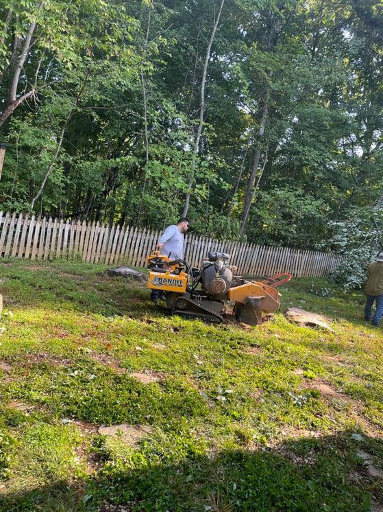 A worker operating a Bandit stump grinder machine to remove a tree stump for Ventura Tree Services in Conroe, TX.