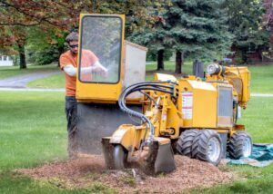 A worker operating a powerful stump grinder to remove a tree stump, a service offered by Mobile Tree Removal Services in Mobile, AL.