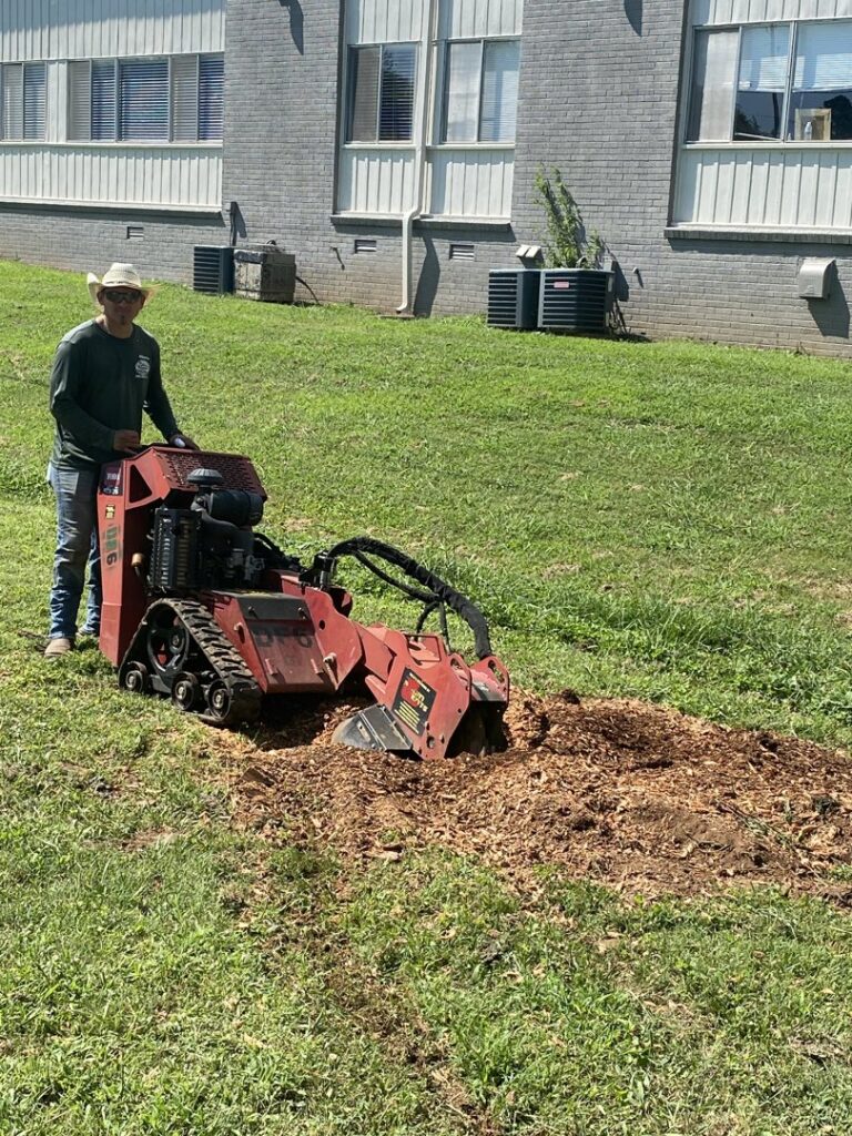 A worker from Mr. Green-Jeans Lawn Service & Tree Service operating a stump grinder to remove a tree stump in Decatur, AL.