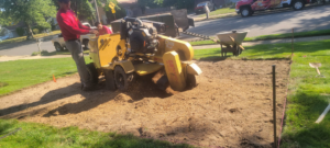A worker operating a stump grinder to remove a tree stump for Odi Tree Service and Landscaping LLC in Lakewood, NJ.