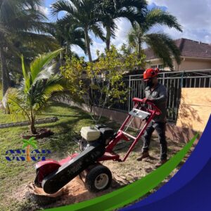 A worker operating a stump grinder to remove a tree stump, a service provided by OnTop Tree Service in Miami, FL