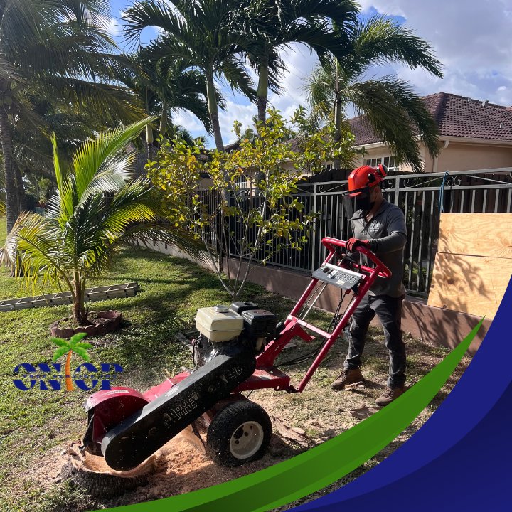 A worker operating a stump grinder to remove a tree stump, a service provided by OnTop Tree Service in Miami, FL