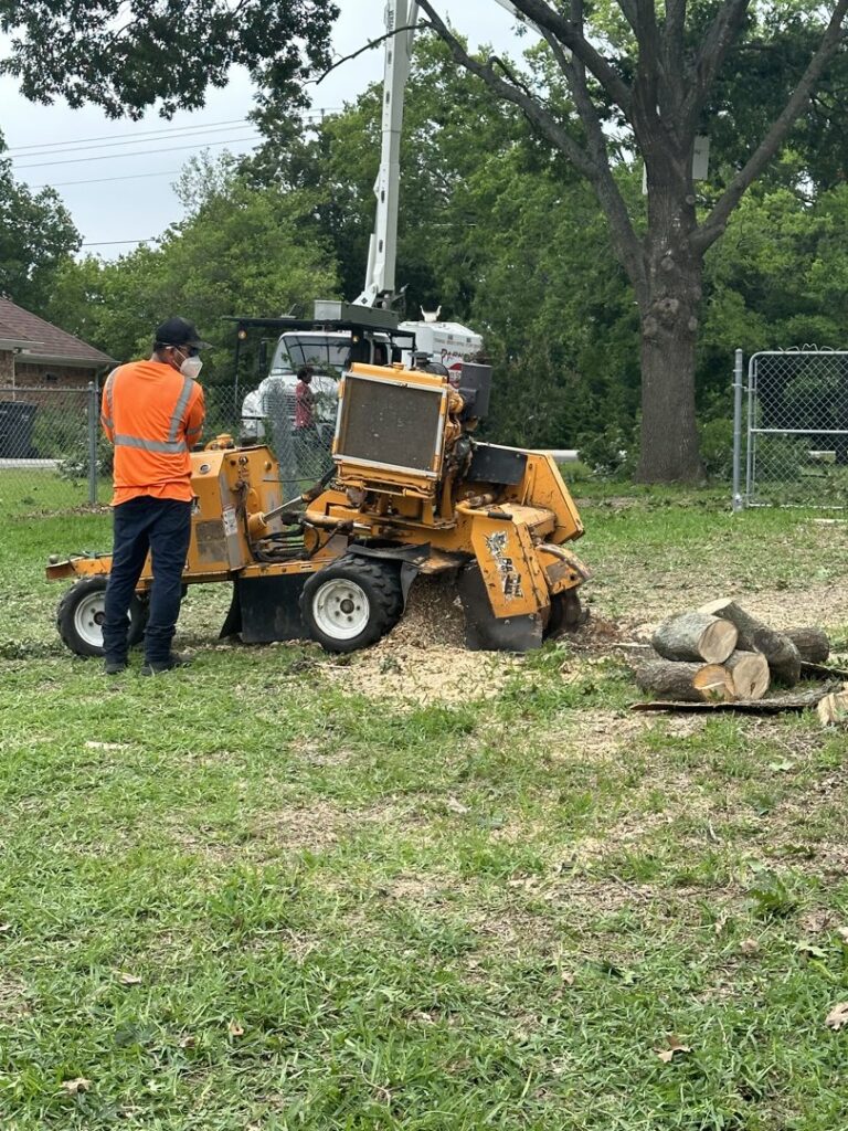 A worker operating a stump grinder to remove a tree stump for Parker TX Tree Service in Plano, TX.