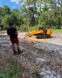 A worker operating a Carlton stump grinder during a stump removal job by S & J Stump Removal LLC in Shreveport, LA.