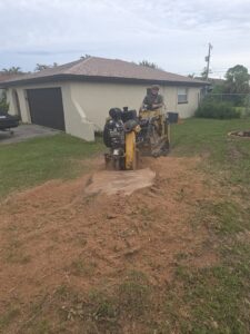 A worker operating a stump grinder, creating a pile of wood chips at Tim's Tree Service in Cape Coral, FL