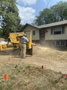 A tree service worker operating a stump grinder to remove a tree stump for Toben Tree Service in Yankton, SD.