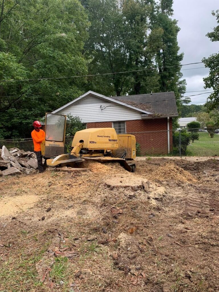 A worker operating a Vermeer stump grinder, removing a tree stump for Tree service Rigoberto peraza in Atlanta, GA.