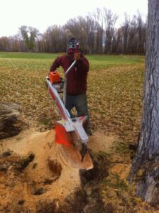A worker operating a stump grinder to remove a tree stump for Trees Inc - Wyoming in Jackson, WY