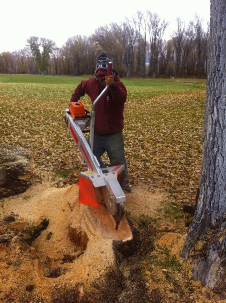 A worker operating a stump grinder to remove a tree stump for Trees Inc - Wyoming in Jackson, WY