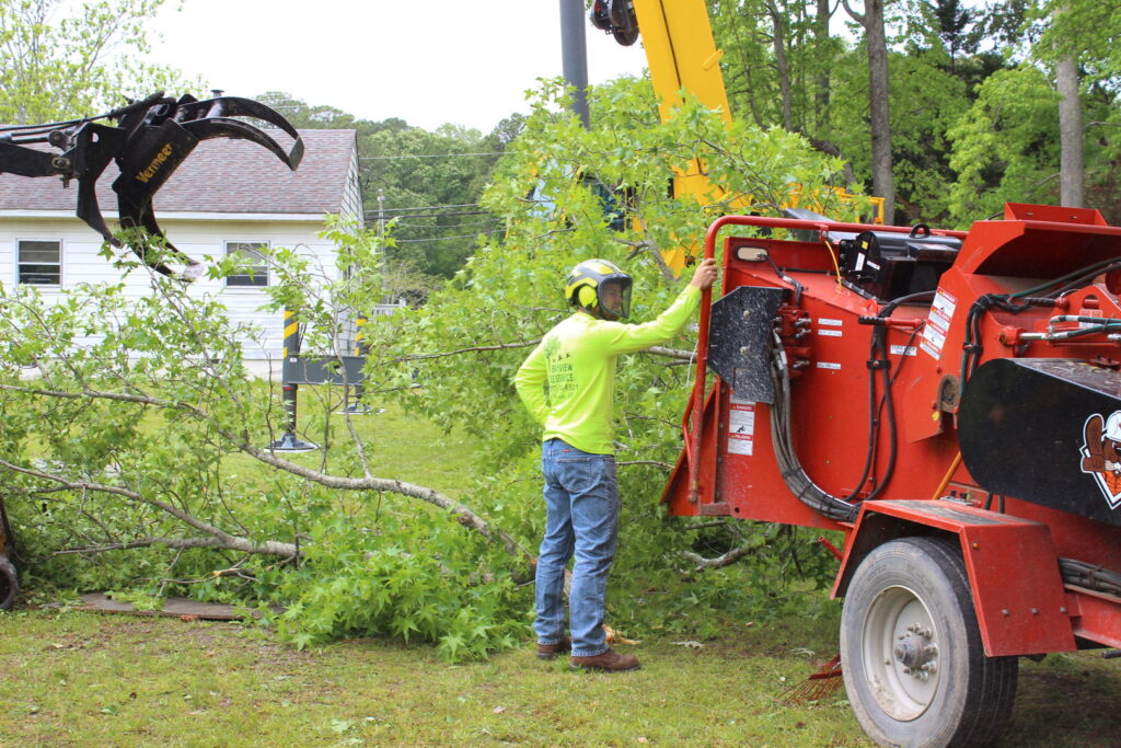 A tree service worker in safety gear operating a wood chipper with branches on the ground for Bayview Tree Service in Poquoson, VA.