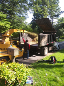 A worker operating a wood chipper, feeding branches into a dump truck for Nunez Tree Services LLC in Roswell, GA.
