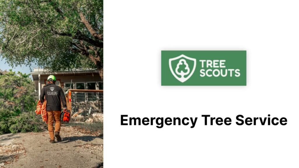A worker using a pole saw to trim tree branches near a wooden fence, performed by Tree Scouts Tree Service & Trimming Georgetown in Austin, TX.