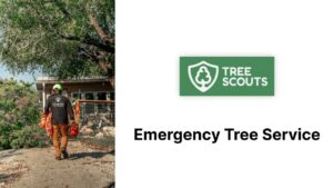 A worker using a pole saw to trim tree branches near a wooden fence, performed by Tree Scouts Tree Service & Trimming Georgetown in Austin, TX.