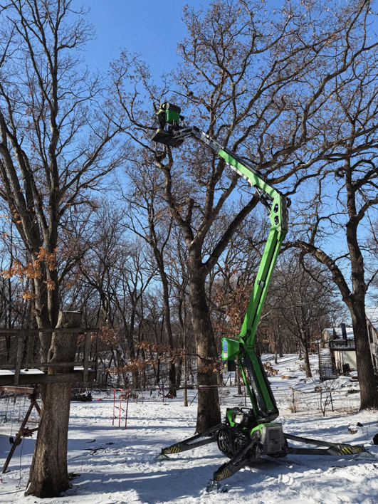 A worker in an aerial lift pruning a large tree in winter for Rooted Treeworks in Plymouth, MN.