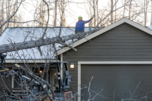 An Apex Tree Care LLC worker removing a large fallen tree branch from a roof in Wasilla, AK.