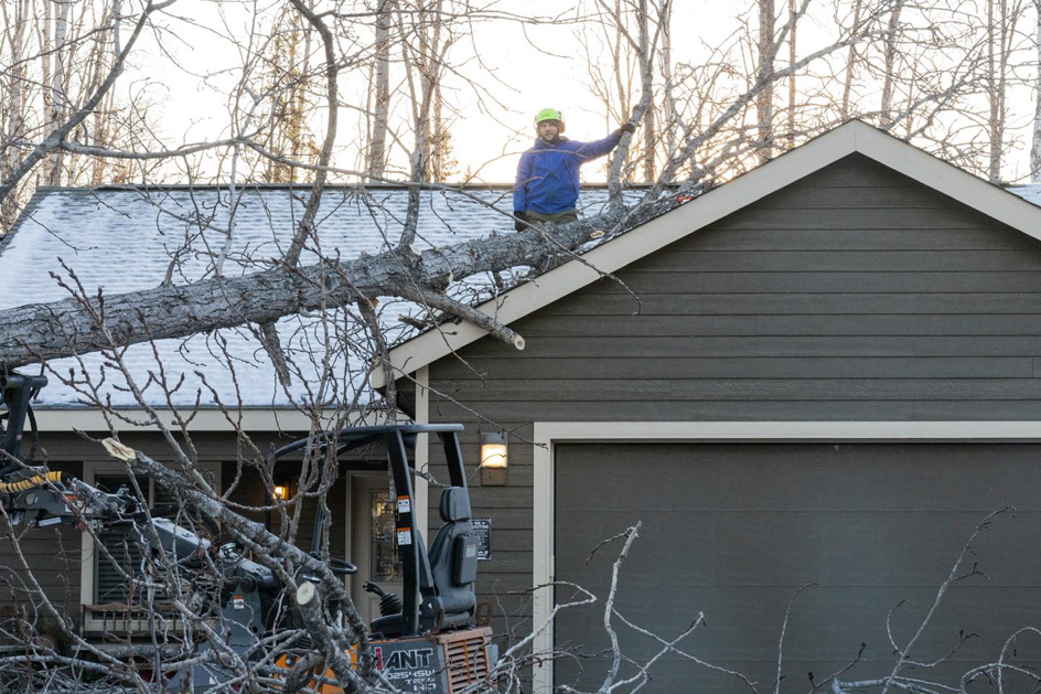 An Apex Tree Care LLC worker removing a large fallen tree branch from a roof in Wasilla, AK.