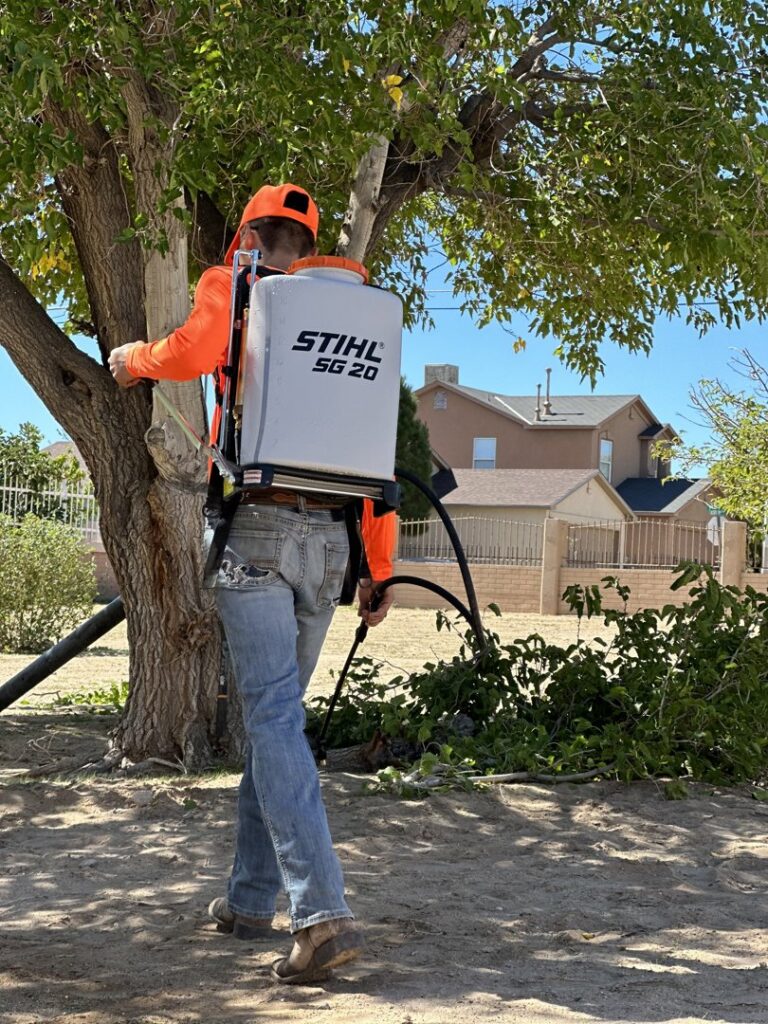 A worker applying tree treatment with a backpack sprayer for Sandia Valley Services LLC in Rio Rancho, NM.