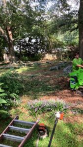 A worker operating a stump grinder in a residential backyard, with a chainsaw and ladder nearby, by Joshua Tree Service in Smyrna, GA.