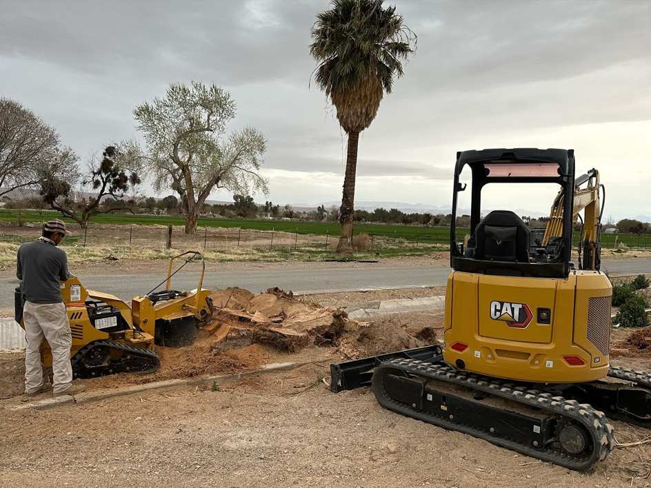 A worker operating a stump grinder with an excavator nearby, performing stump removal for Whipple Tree Service in Mesquite, NV.