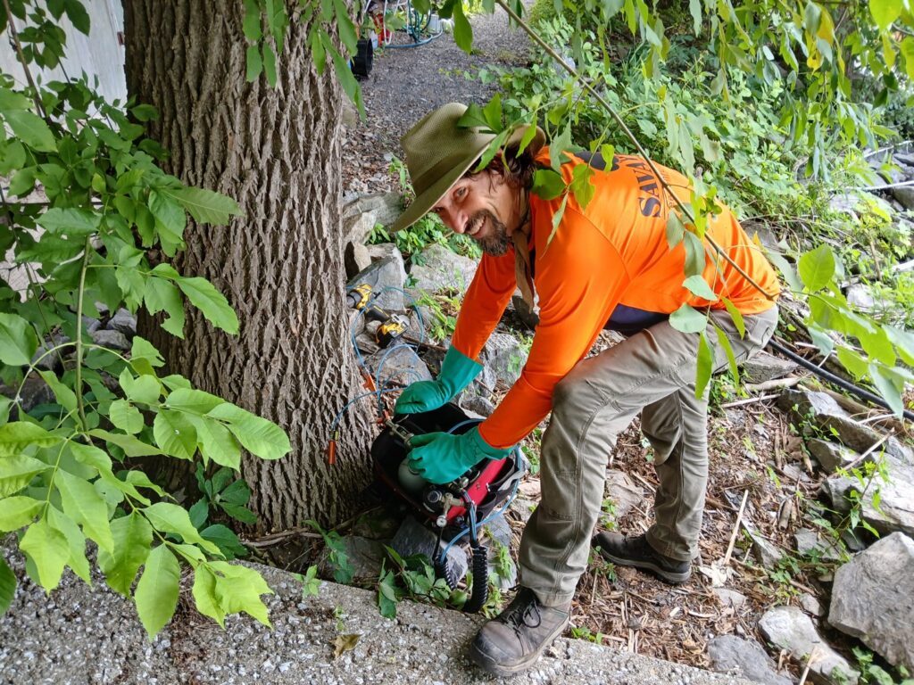 A worker in an orange shirt and gloves treats the base of a tree for health at Savatree Burlington, VT.