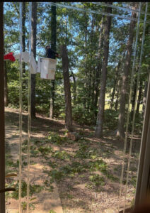 An Ox Tree worker in a bucket truck performing tree removal, with cut branches on the ground, in Birmingham, AL.