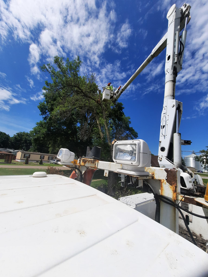 A worker in a bucket truck trimming branches from a tall tree for Javier Medina Tree Service LLC in DrDenison, IA.
