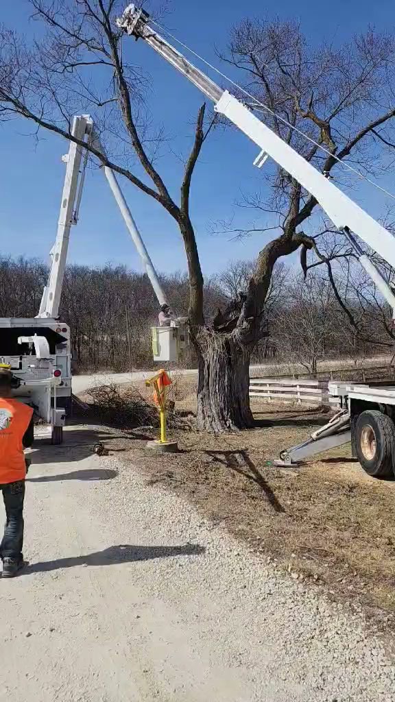 A worker in a bucket truck performs tree trimming, with a wood chipper visible, for Southern Accent Tree Service in West Des Moines, IA.