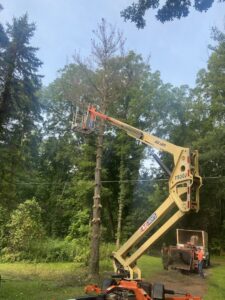 A tree service worker in a bucket lift trimming a tall, dead tree with a wood chipper on the ground for Woodchopper's Tree Service in Lennon, MI.