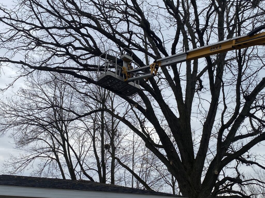 A tree service worker in a bucket lift trimming a large, bare tree for Woodchopper's Tree Service in Lennon, MI.