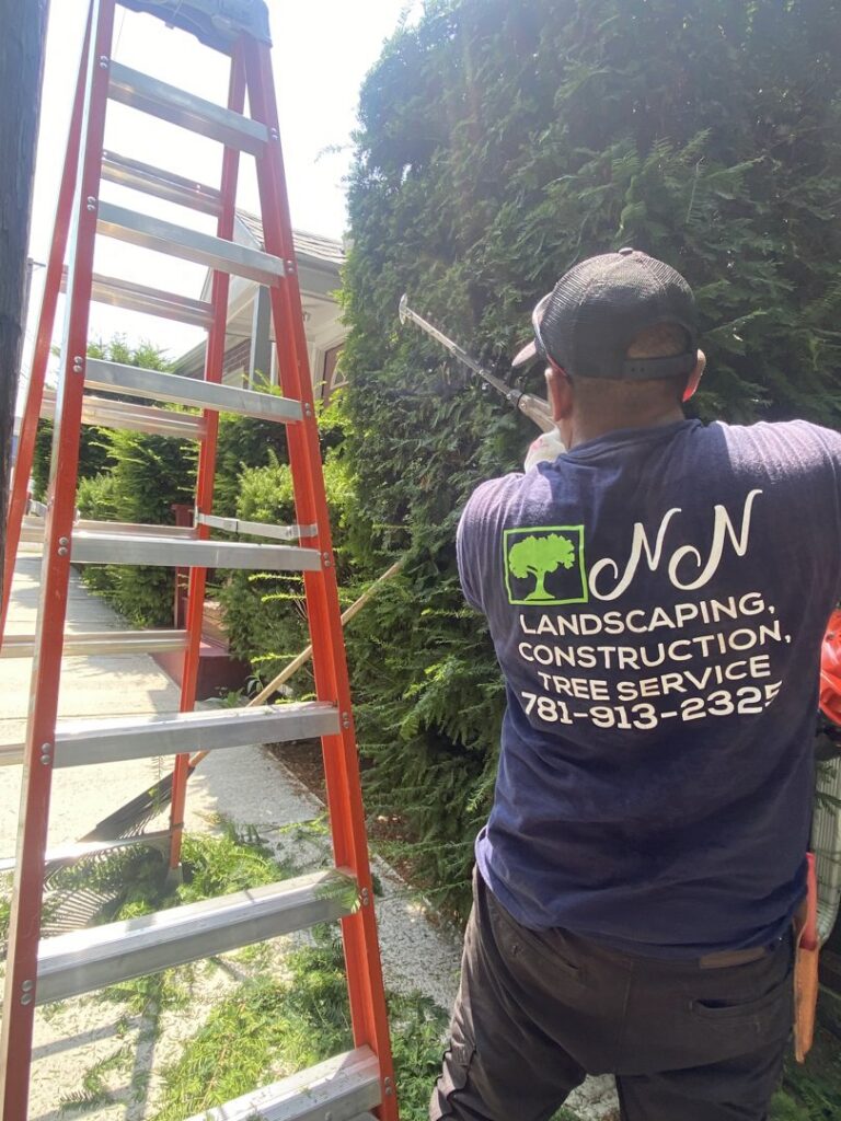 A worker trimming a tall hedge with a long-reach trimmer for NN Landscaping, Construction & Tree Service in Lynn, MA.