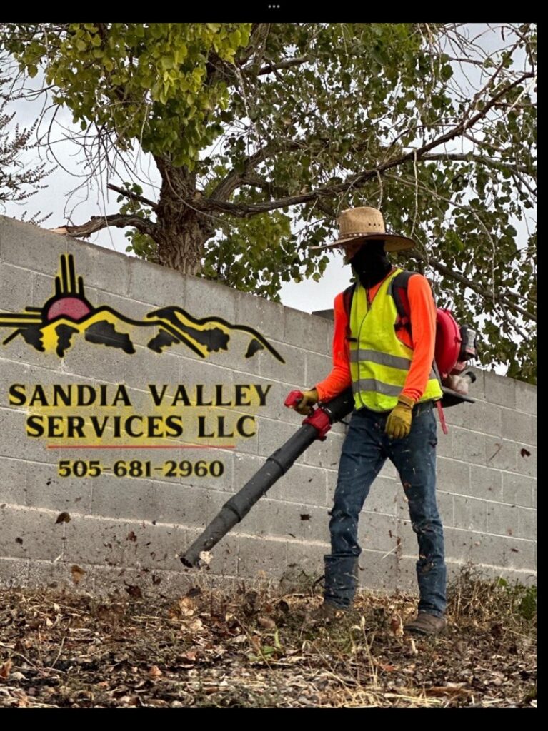 A worker using a leaf blower for tree and yard cleanup services by Sandia Valley Services LLC in Rio Rancho, NM.
