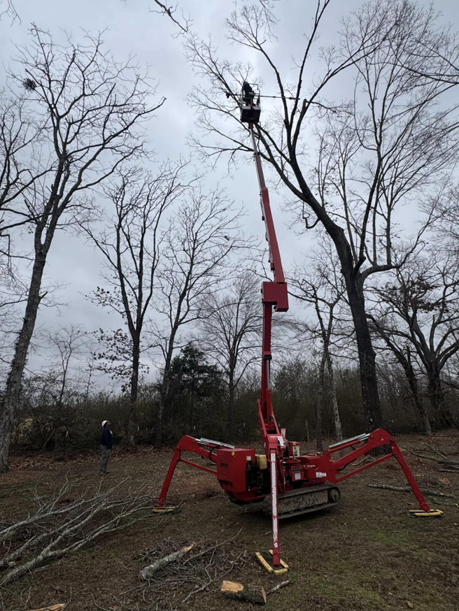 A worker using a spider lift to trim a tall tree for Risk Tree Service in Kenner, LA.