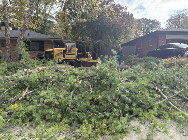 A worker operating a wood chipper to process tree branches during a tree removal job by Rooted Tree & Home Services LLC in Des Moines, IA.