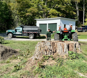 A worker from Green Mtn Stump Grinding standing next to a large tree stump, with a company truck and tractor in Montpelier, VT.