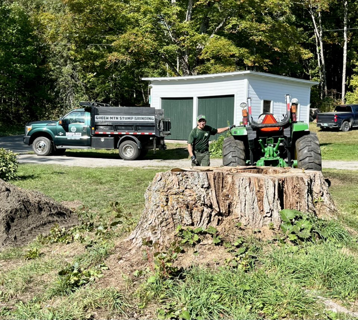 A worker from Green Mtn Stump Grinding standing next to a large tree stump, with a company truck and tractor in Montpelier, VT.