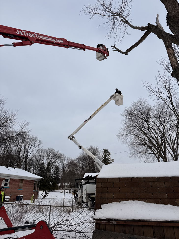 Workers in bucket trucks performing tree trimming services for J's Tree Trimming and Removal, Inc. in Ann Arbor, MI.