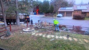 Workers using a chainsaw for branch cleanup and loading a trailer for PJ's Tree Service in Missoula, MT.