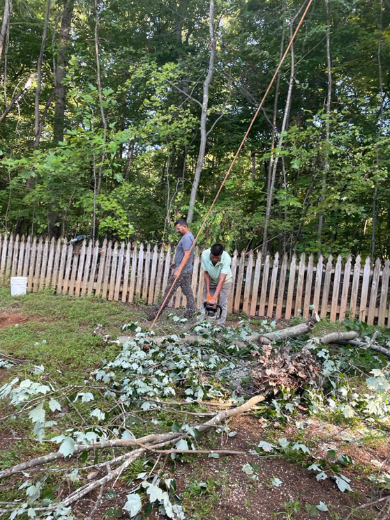 Two workers cutting fallen branches with a chainsaw and raking debris for Ventura Tree Services in Conroe, TX.