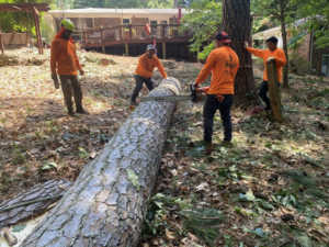 Sergeant tree service workers using a chainsaw to cut a large fallen tree trunk in Atlanta, GA