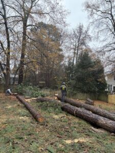 Two tree service workers using chainsaws to cut large fallen tree trunks in a residential backyard by Ernesto tree service & landscaping LLC in Richmond, VA.