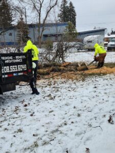 Two workers cutting logs with chainsaws in a snowy area for D&R Tree Service in Lewiston, ID.