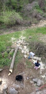 Two workers cutting large logs on the ground with chainsaws, part of a tree removal cleanup by Rustyn Page Landscaping in Harrisburg, PA.
