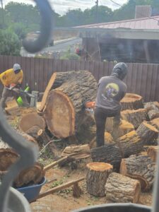 Two Kiki's Tree Service workers using chainsaws to cut large tree logs into manageable pieces in Albuquerque, NM.