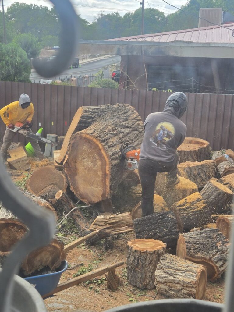 Two Kiki's Tree Service workers using chainsaws to cut large tree logs into manageable pieces in Albuquerque, NM.