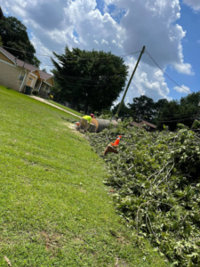 Tree service workers cutting a large tree trunk with chainsaws for SDV professional tree service llc in Fyffe, AL.