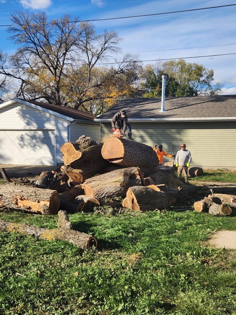 Jeff's Tree Service workers cutting large tree trunks into manageable pieces with chainsaws in Sioux City, IA.
