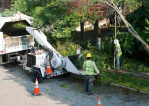 Two workers feeding tree branches into a large wood chipper, performing cleanup services for Mobile Tree Removal Services in Mobile, AL.