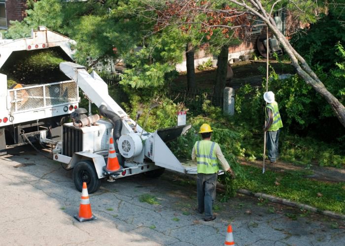 Two workers feeding tree branches into a large wood chipper, performing cleanup services for Mobile Tree Removal Services in Mobile, AL.